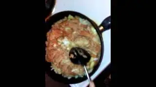 Zaria Ross rotel dip tutorial !