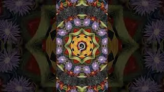 Acacia - Know Them by Their Fruit (PREVIEW) #patronusrocks #electronicmusic #psychedelicmusic #new