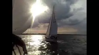Amigo 40 storm