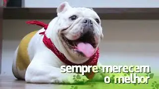 Conhe&ccedil;a os petiscos naturais e funcionais DENTALIGHT
