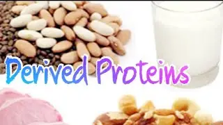 Derived Proteins/ Biochemistry #proteins #protein #chemistry #biochemistrymbbs1styear #biochemistry
