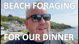 Beach Foraging for a seafood dinner In Cornwall