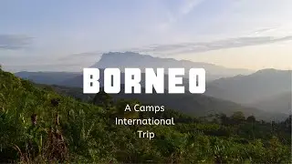 Bugs and Borneo - A Camps International Expedition