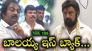 Balakrishna New Movie Opening | NBK 105 | Nandamuri balakrishna 105 movie opening | Film Jalsa