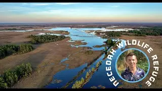 I Never Knew Wisconsin was this BEAUTIFUL!!! - Necedah Wildlife Refuge | Drone View