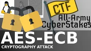 All-Army CyberStakes! AES-ECB Plaintext Recovery