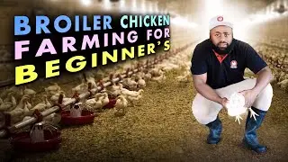 Poultry Farming for Beginners 🐓| Mastering Broiler Farming: Insider Daily Routine & Feeding Hacks