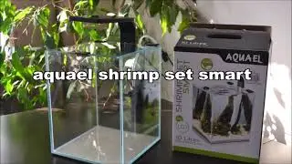 Aquael shrimp set 10l aquarium.