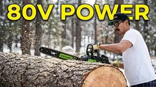 Firewood harvesting for Snow Winter '25 using a Greenworks 80V Electric Chainsaw.