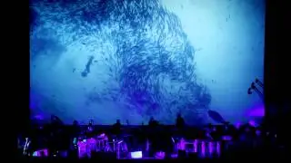 EKLEKTIK ORCHESTRA 