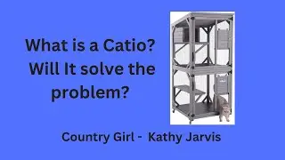 What is a Catio?