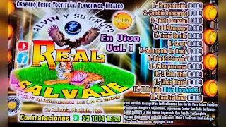TONTO CORAZÓN ALVIN Y SU GRUPO REAL SALVAJE 