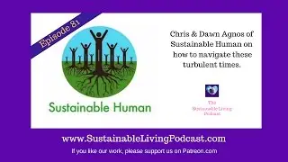 Navigating Turbulent Times