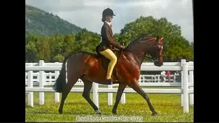 Royal Three Counties Show Day