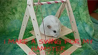 DIY Hamster Swing | Tutorial🐹 Hamsters Party