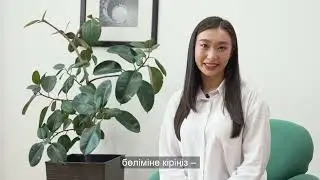 ТОП 5 вопросов по декларациям ФНО 250 и 270  Ответы от эксперта