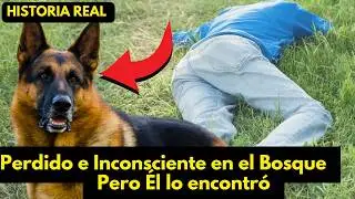 Perro Expolic&iacute;a Ladra Insistente Desvi&aacute;ndose del Camino y Encuentra Algo Inesperado