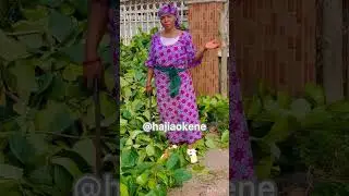 HajiaOkene the prayer warrior.
