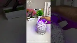 Dinosaur Egg Lamp Music Night Light