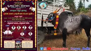 🔴Hudujur Bulls Race🚩 11-01-2026 Day:-1 Part:-1
