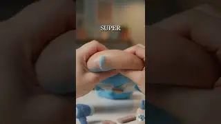 Dog Grooming Secrets 🤫