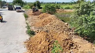 Great Start! Skillful Land Filling in Action &mdash; Dozer and Dump Trucks Working in Perfect Coordination