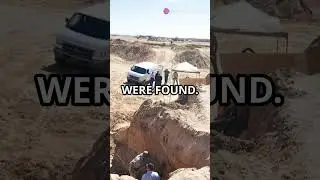 Chilling Narratives-West Mesa Murders #shorts #trending #viralvideo #crime #new #fyp #scary #facts