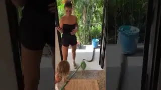 Snake Alert! Little Girl Handles It Like a Pro 😱