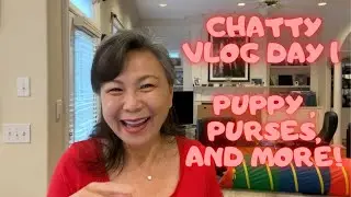 🌈CHATTY VLOG DAY 1/PROTECTING LUXURY BAGS FROM PUPPY & MORE!