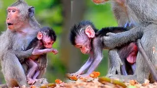 Tiny mommy hugs baby carefully with good care, Adorable Wildlife