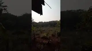 ngecek kebon..jiim..