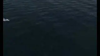Virtual Skipper 5
