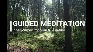 Guided Meditation Journey - Into Your True Nature
