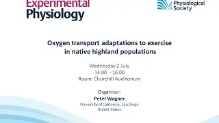 Oxygen transport adaptations to exercise  in native highland populations