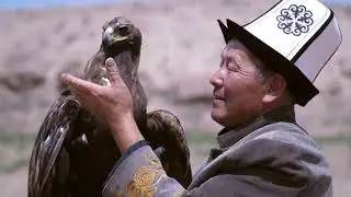 Top 5 National animal. bird and flag of countries.