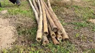 Building a small thatched hut behind the house