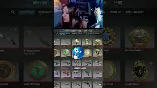 Which AWP ELECTRIC HIVE should I keep?!