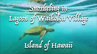 [4K] Snorkeling in the Lagoon of Hilton Waikoloa Village