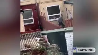 DEV vs QA