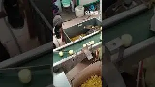 Automatic buckle cap snap cap flip cap assembly machine snap buckle lid assembly mahcine with feedin