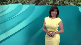 Meteorologist Jesse Ritka's Sunday evening Storm Team 4cast