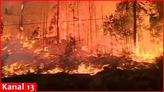 PERSONAL: 'I was terrified' - Witness recounts driving through raging Canadian wildfire