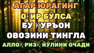 МОЖИЗАВИЙ ҚУРЪОН! РИЗҚ ОЧИЛАДИ, ҚАЛБ СОКИН БЎЛАДИ!