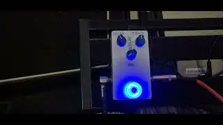 musikding BlueLay Analog Delay Test