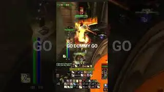 why you should ALWAYS bring target dummies to raid #worldofwarcraft #wowclassic #seasonofdiscovery