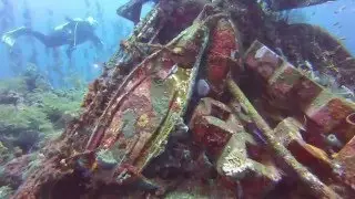 Bali Tauchen, Tulamben Wrack, SIDDHARTHA DIVE RESORT,   Wind-Beutel, GoPro Tauchen, GoPro Diving