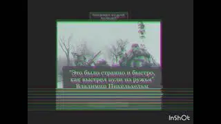 Война в Пикельхельмии