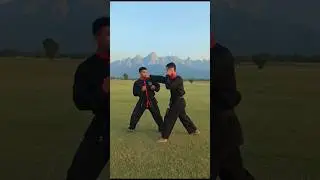 Martial Arts Self Defence Techniques 🔥 | Kung Fu Self Defence 💪 | #martialarts #kungfu #selfdefense
