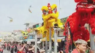 #xuan2025 Diễn Hành Lân - Sư - Rồng Náo Nhiệt Đường Phố Châu Đốc Năm 2025
