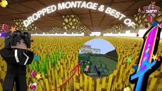 SKILLPVP V14 - DROPPED MONTAGE & BESTOF